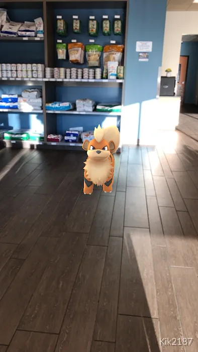 Banfield Pet Hospital 12