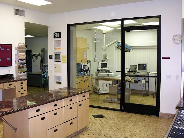 All Pets Veterinary Hospital 12