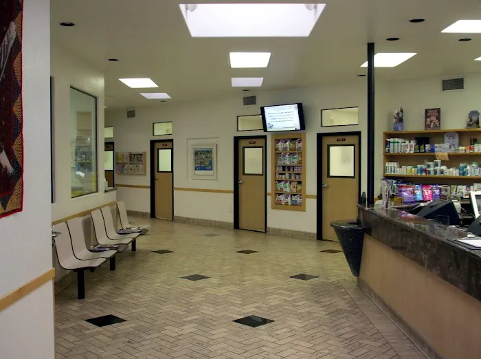All Pets Veterinary Hospital 12