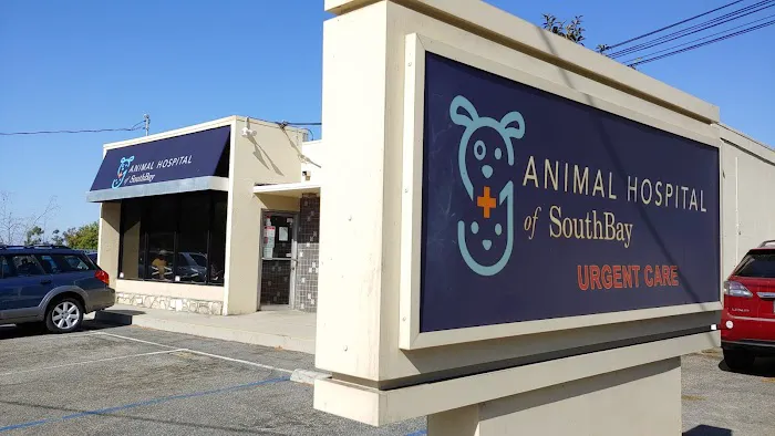 Animal Hospital of South Bay - Rolling Hills 12