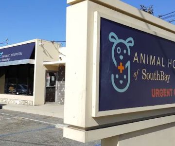 Animal Hospital of South Bay - Rolling Hills