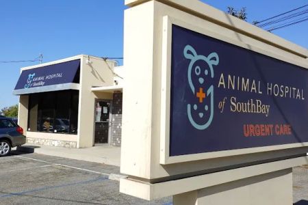 Animal Hospital of South Bay - Rolling Hills