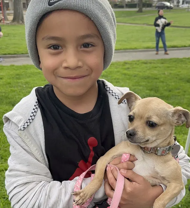 CAMP Clinic San Pedro (spay/neuter) 12