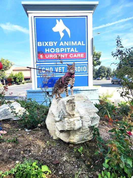 Bixby Animal Hospital & Urgent Care 6