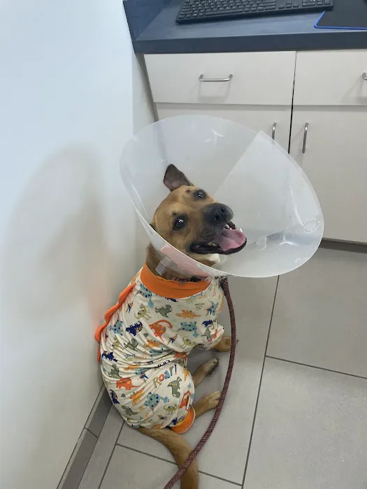 Bixby Animal Hospital & Urgent Care 10