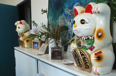 P.V. Village Pet Hospital 7