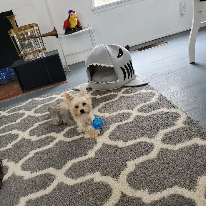 Banfield Pet Hospital 8