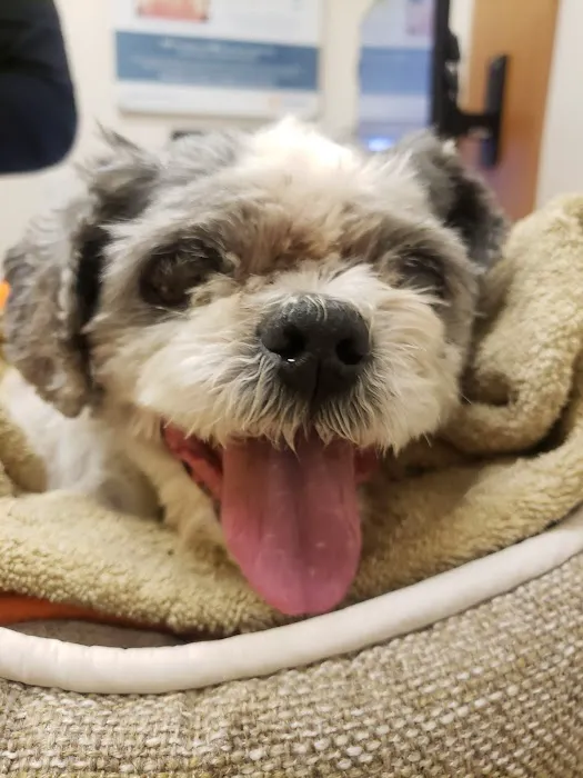 Banfield Pet Hospital 6