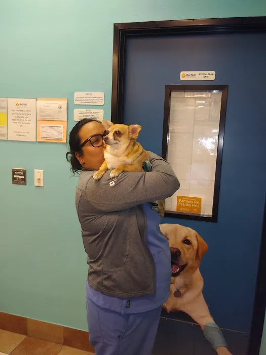 Banfield Pet Hospital 1