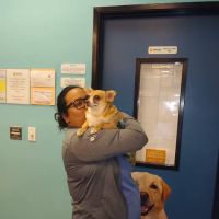 Banfield Pet Hospital ico
