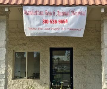 Manhattan Beach Animal Hospital