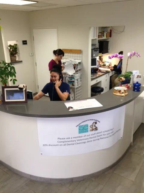 Manhattan Beach Animal Hospital 5