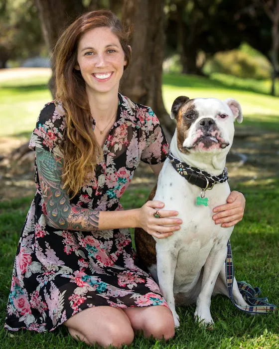 Bay Animal Hospital 3