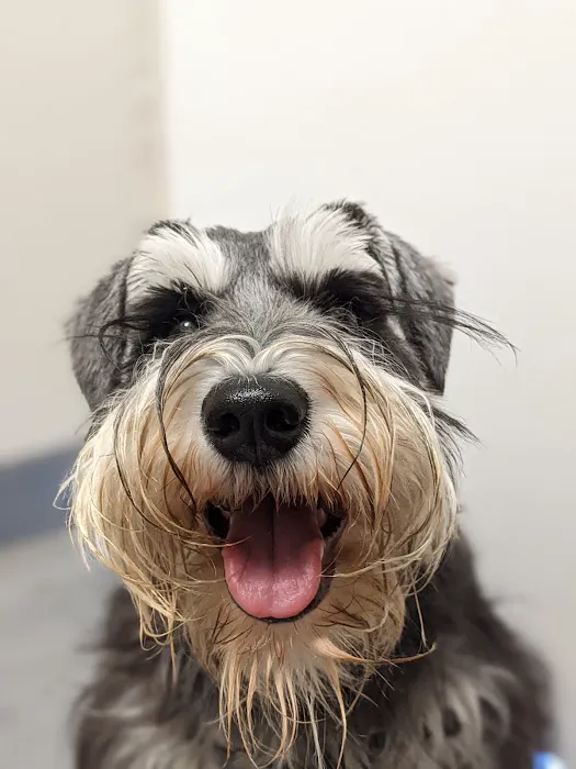 Bay Animal Hospital 1
