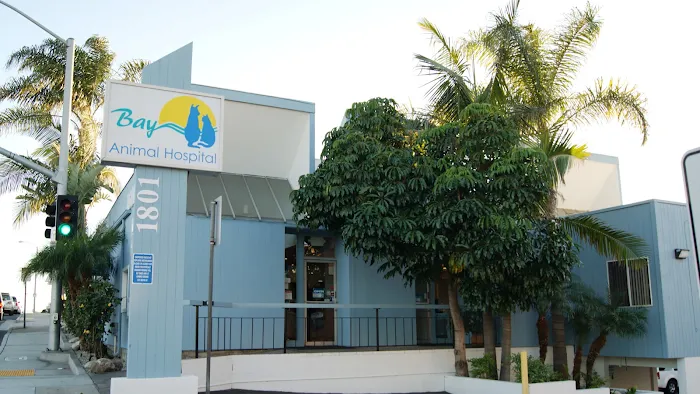 Bay Animal Hospital 9