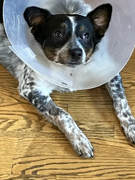 Bay Animal Hospital 5