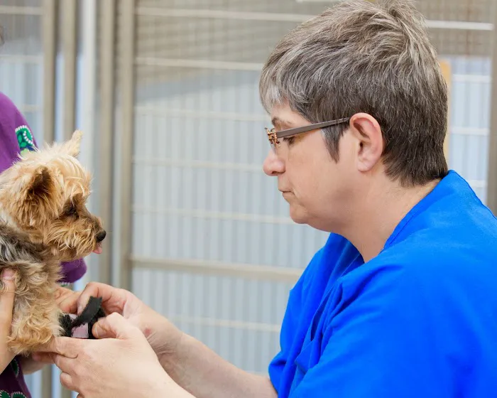 Bay Animal Hospital 8