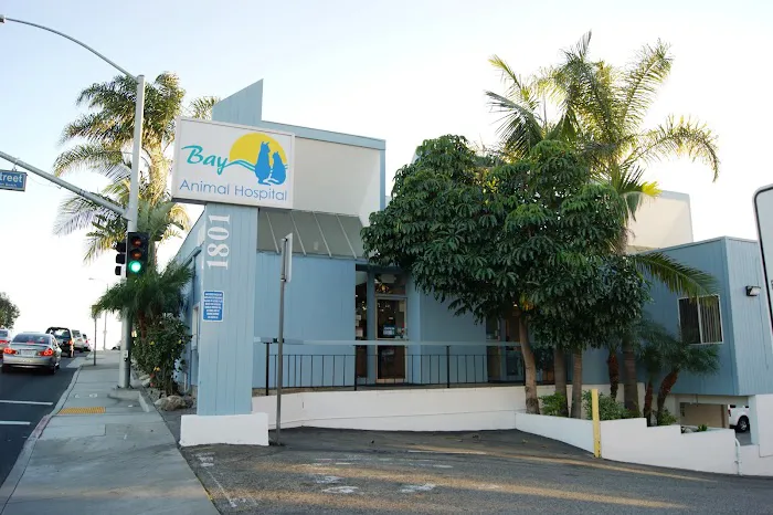 Bay Animal Hospital 7