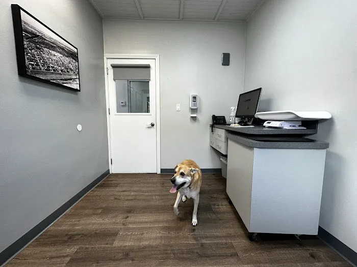VCA Animal Medical & Dental Group 2