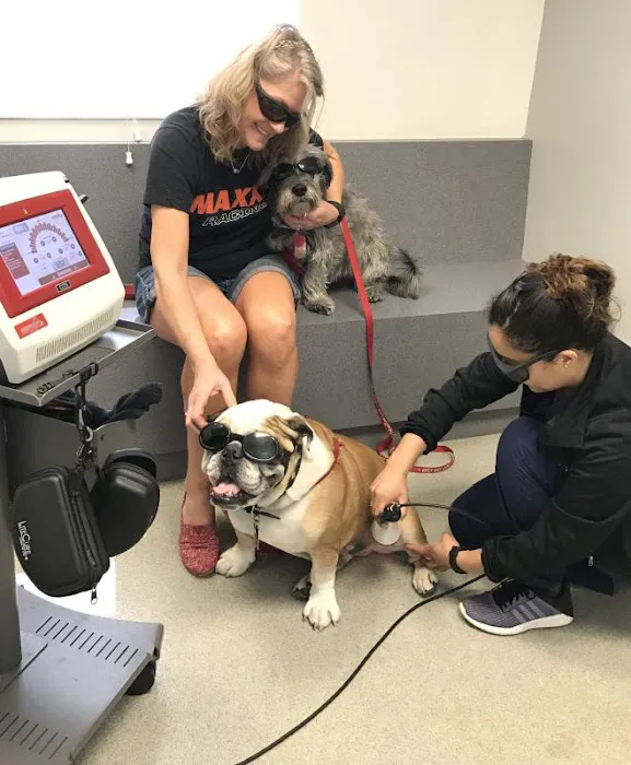 VCA Animal Medical & Dental Group 10