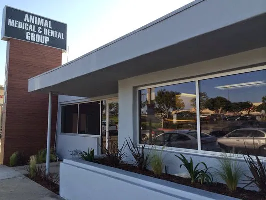 VCA Animal Medical & Dental Group 3