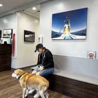 VCA Animal Medical & Dental Group ico