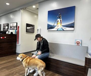 VCA Animal Medical & Dental Group