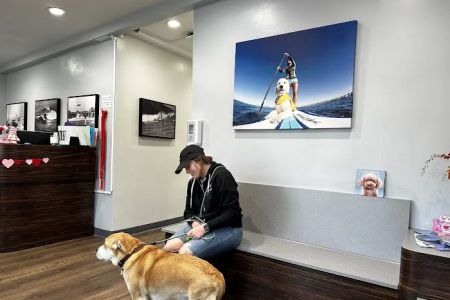 VCA Animal Medical & Dental Group