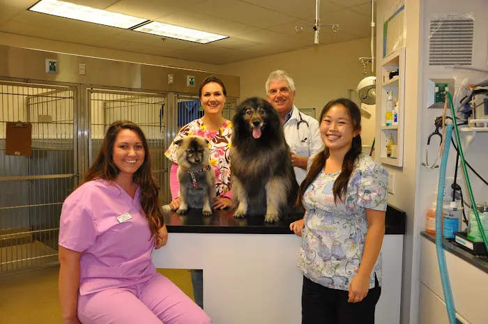 VCA Hermosa Animal Hospital 12