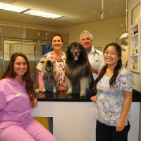 VCA Hermosa Animal Hospital ico