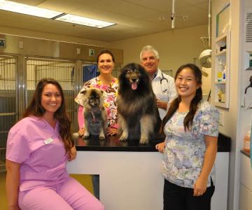 VCA Hermosa Animal Hospital
