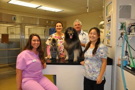 VCA Hermosa Animal Hospital