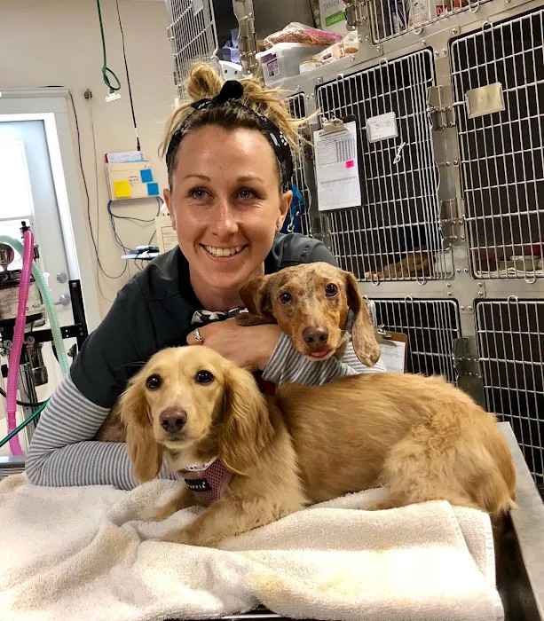 VCA Hermosa Animal Hospital 12