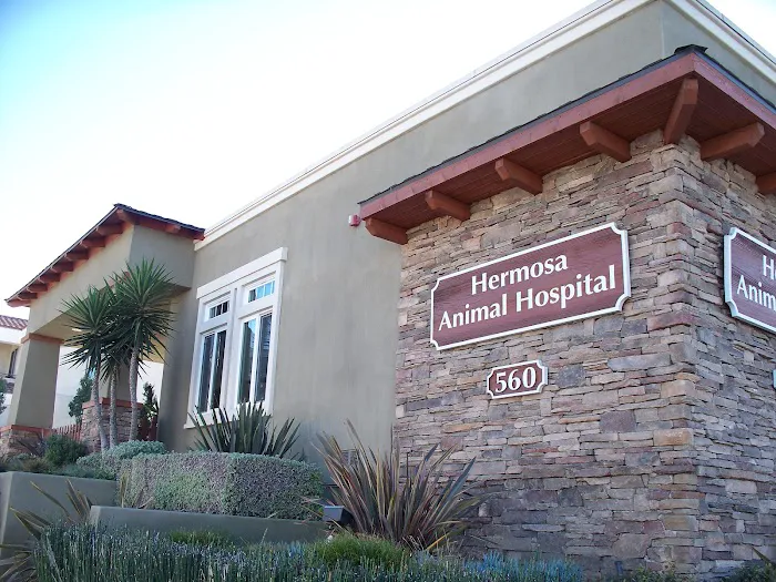 VCA Hermosa Animal Hospital 12
