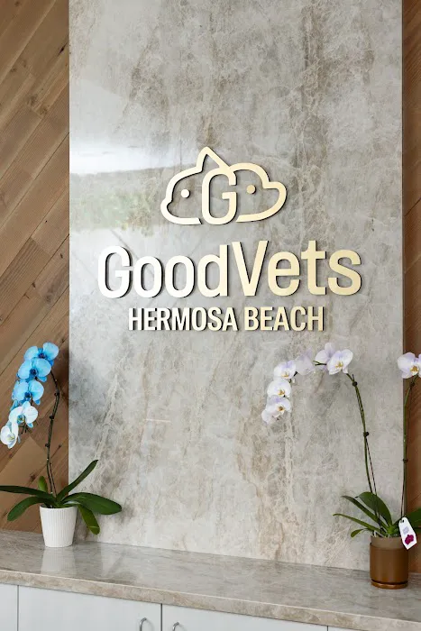 GoodVets Hermosa Beach 12