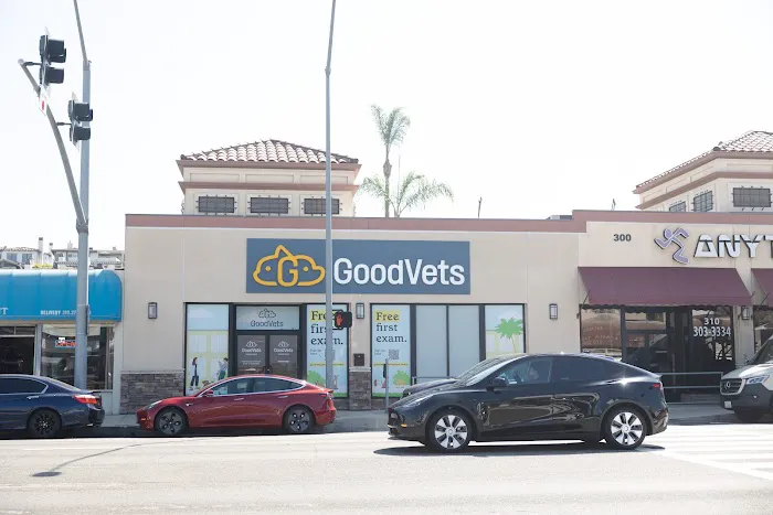 GoodVets Hermosa Beach 12