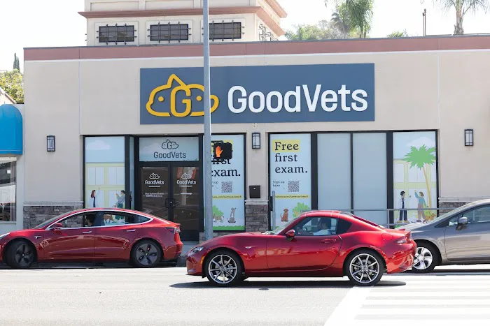 GoodVets Hermosa Beach 12