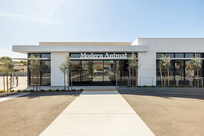 Modern Animal 12