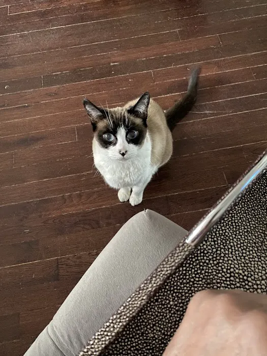 Animal Urgent Care K-Town 12