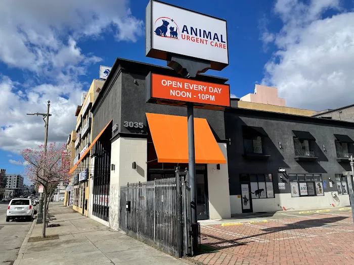 Animal Urgent Care K-Town 12