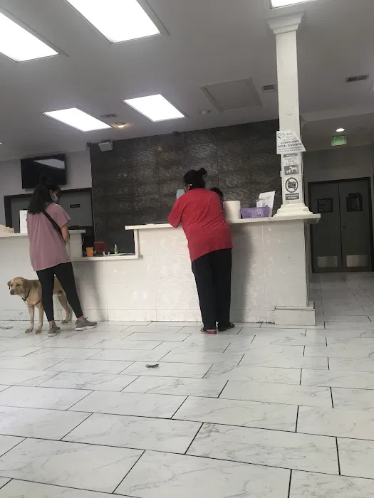 Ambassador Dog & Cat Hospital 12