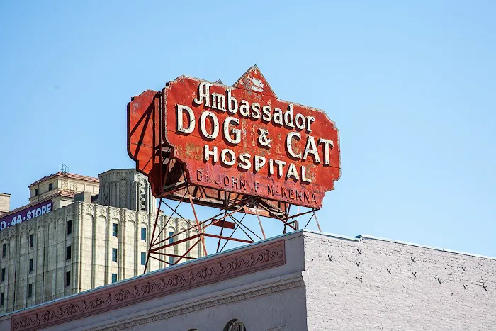 Ambassador Dog & Cat Hospital 12