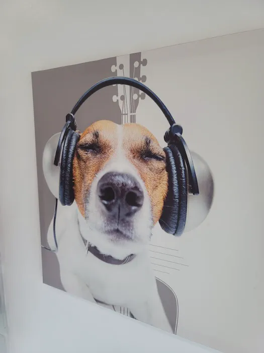 Beverly Pet Clinic 12