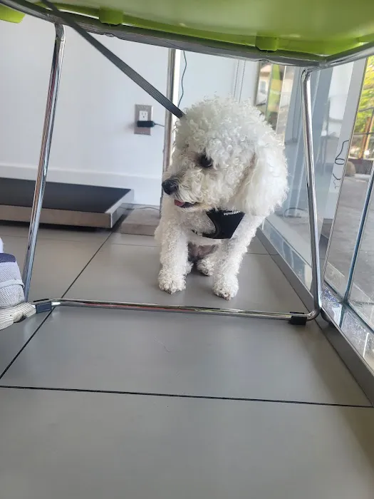 Beverly Pet Clinic 12