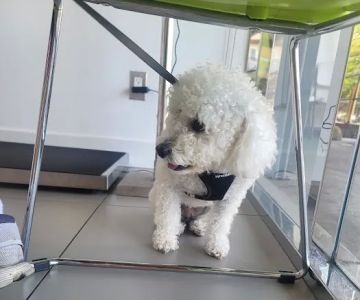 Beverly Pet Clinic