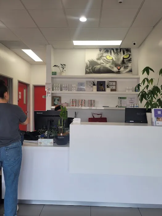 Beverly Pet Clinic 12