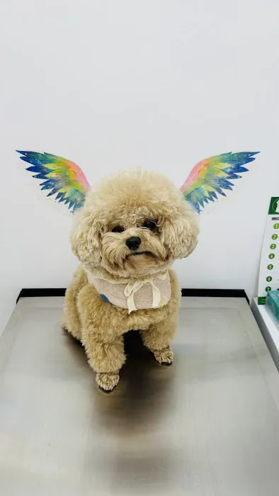 Beverly Pet Clinic 12