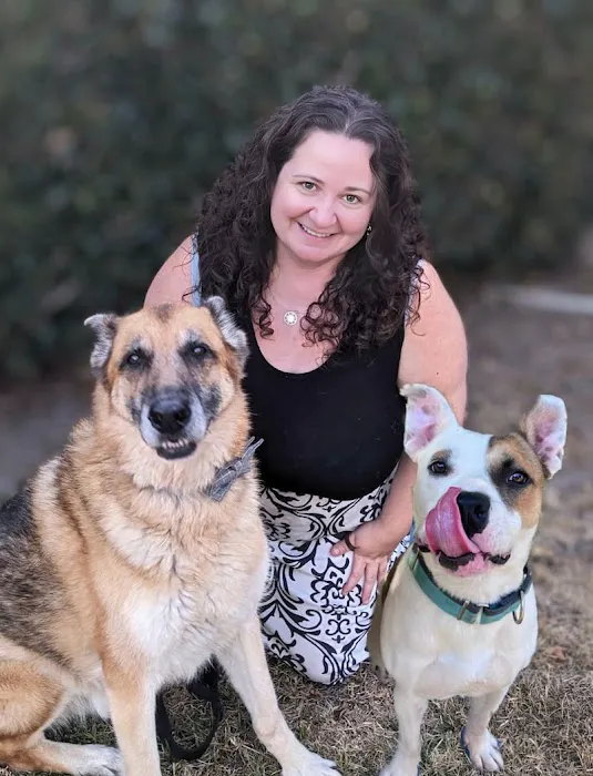 Hancock Park Veterinary Clinic 12