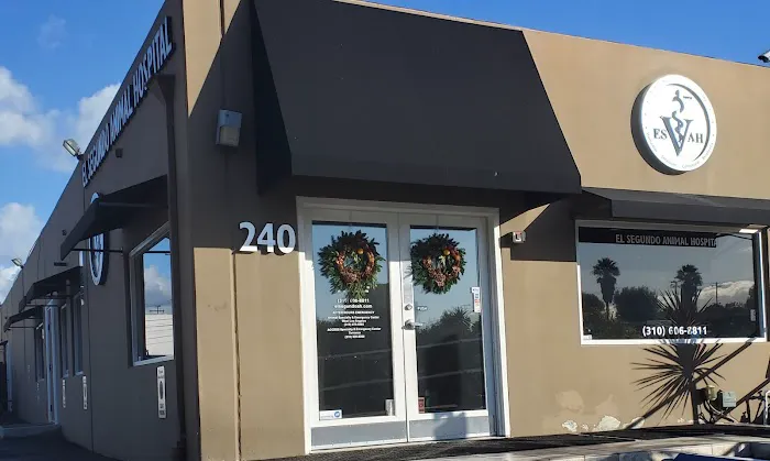 El Segundo Animal Hospital 6
