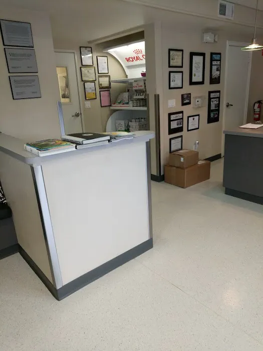 El Segundo Animal Hospital 3